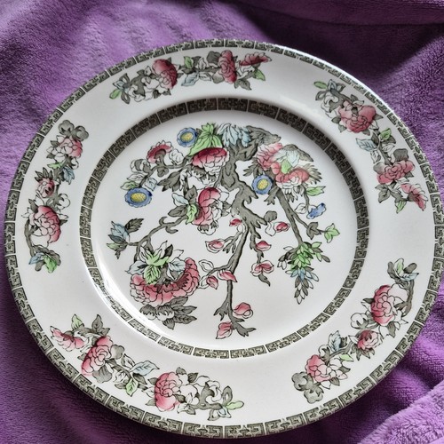 Johnson brothers indian - johnson,