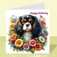 Cavalier King Charles Spaniel