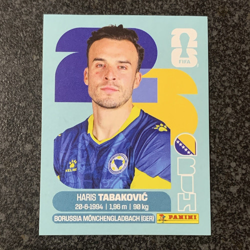 Panini fifa world - panini,