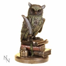 Ulula Owl Academic Owl Figure