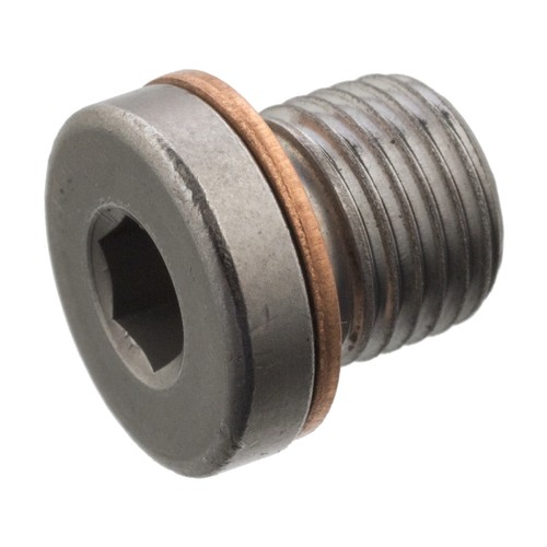 Screw plug fits - fits, febi