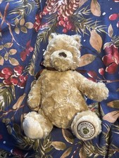 Winnie The Pooh Hundred Acre Wood Plush Bear Soft Toy Disney