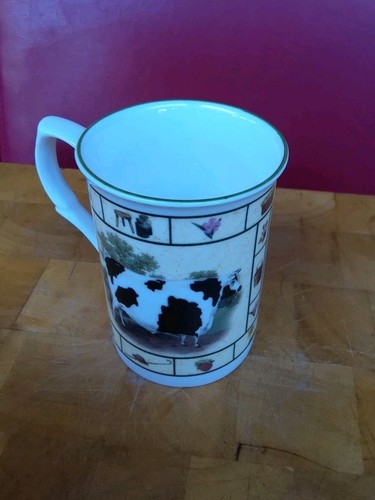 Kirsty jane friesian - jane, cow,