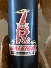 Raleigh Activator SE Main Frame : New Old Stock: Man Cave.