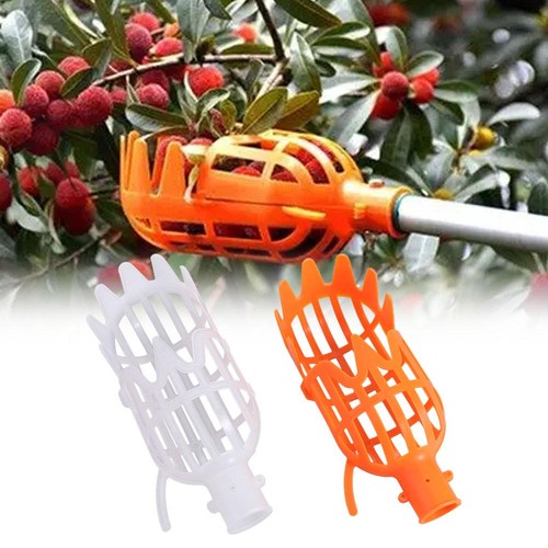 Garden basket fruit - garden,