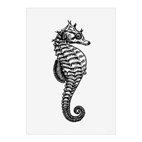 Seahorse marine unframed - marine',