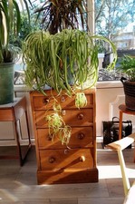 Vintage Oak Chest of Drawers 4 Spacious Locking Drawers Free Delivery