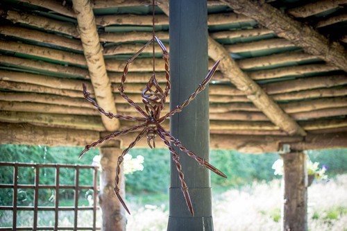 Steel garden spider - garden,