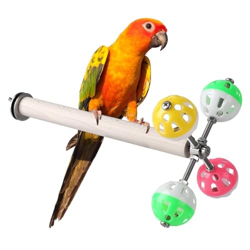Stand perch toy with - perch,