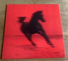 RED RUM CLUB * BUCK * UK