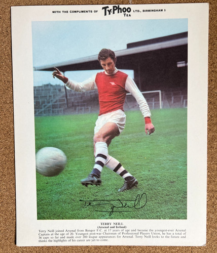 Typhoo tea terry neill - typhoo,