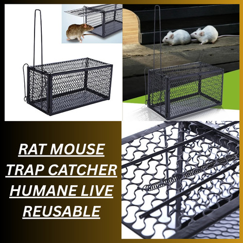 Rat mouse trap catcher humane - catcher,