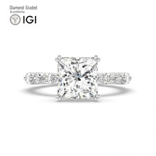 Princess Diamond Engagement