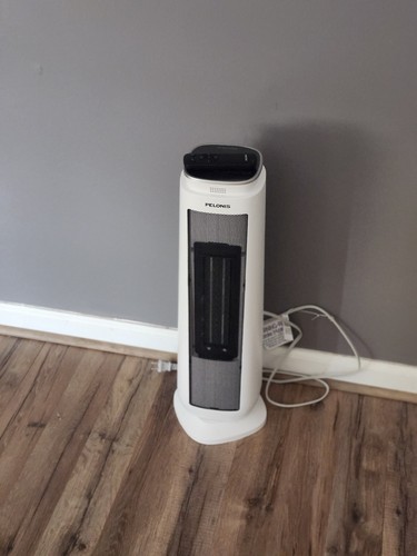 Heater/fan