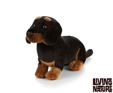 Dachshund dog plush - plush,