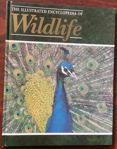 The illustrated encyclopedia - the,