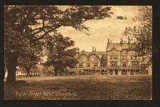 Old Postcard: Royal Forrest