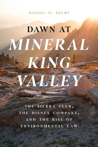 Dawn mineral king valley - at, by