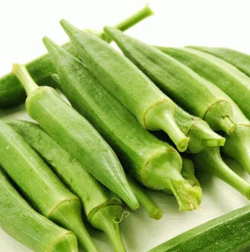 Okra abelmoschus esculentus - okra,