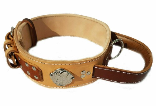 Two tone heavy duty - two, dog
