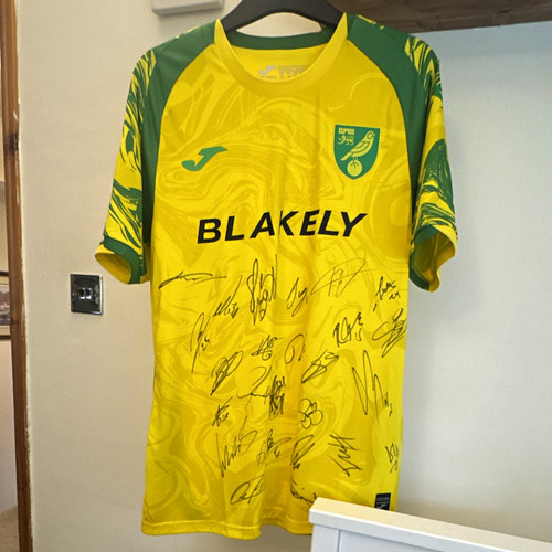 Norwich city home football - norwich,