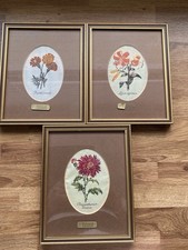 J And J Cash Silk Pictures Of Flowers x 3