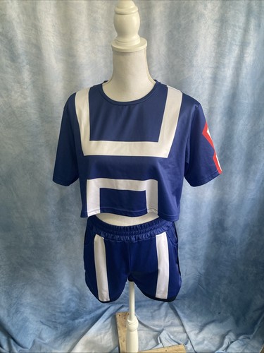 Hero academia high gym - hero, u.a.
