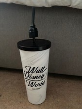 Disney World Stainless Steel