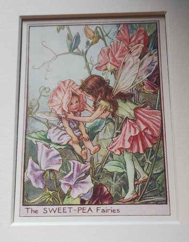 Sweet pea fairies vintage - pea,