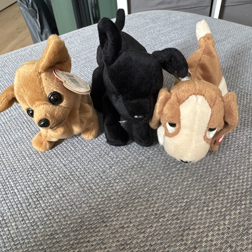 Beanie babies dogs tiny - dogs,