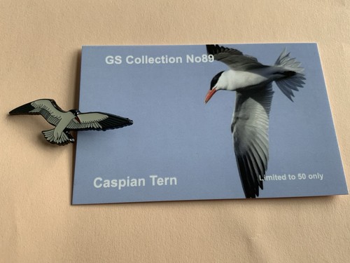 None rspb badges collection - rspb,