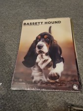 Bassett Hound A3 2026 Calendar