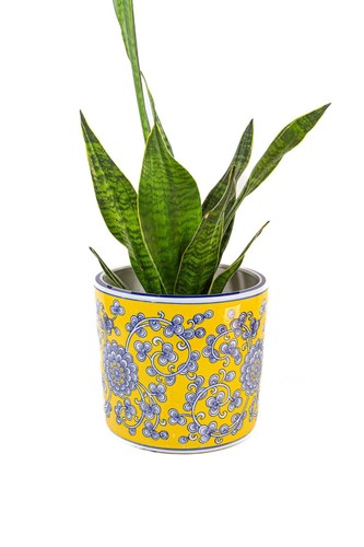 Large blue and yellow - blue,