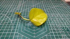 Epipremnum Aureum Neon Pothos