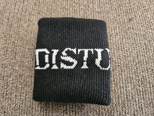 Disturbed rock band - band, asylum