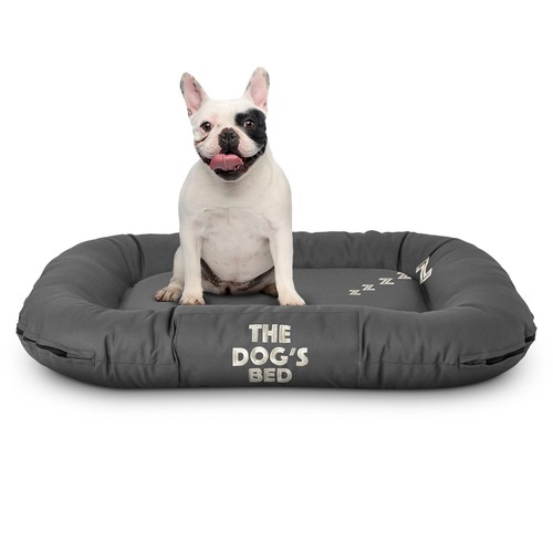 The dog bed - dog’s,