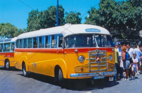 Bus photo orange - bus, photo,