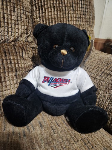 Talladega superspeedway teddy - talladega,
