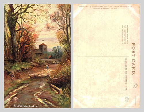 Vintage postcard lane near - lane,