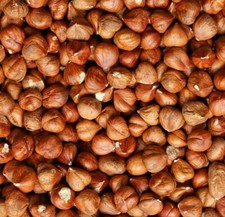 HazelNuts 1kg 500g 2kg Hazel Nuts Whole Raw Natural Bulk Keto No shell shelled 