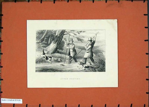 Original old antique print - original,