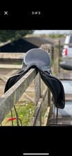 Dressage Saddle