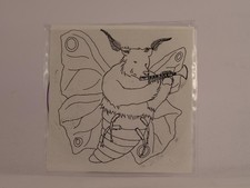 THE SPINTO BAND MOUNTAINS