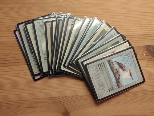 Life tcg 1st - birds,