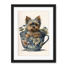 Teacup Yorkshire Terrier Dog
