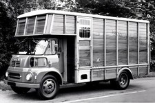 CV126 - Livestock Transport Lorry - photograph 6" x 4" 