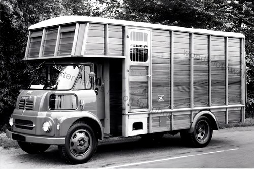 Cv126 livestock transport - -,