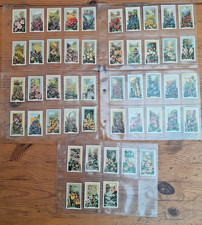 Gallaher Wild Flowers Full Set