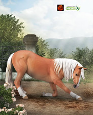 Lusitano Horse Toy Model Figures by CollectA - Choose your Model NEW