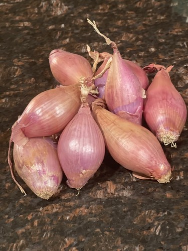 Shallots small medium - (3), small-medium